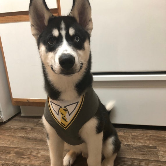 harry potter dog harness
