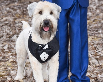 Classic Tuxedo Black with Black Lapels and Black Bowtie Dog Harness