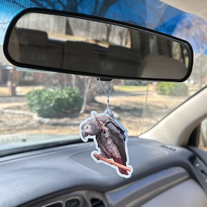 African Grey Parrot Car Air Freshener| Hanging Air Freshener | Orange Scented  | 4&#39;&#39;(101.6mm) x 3&quot;(76.2) | Scented Air Freshener