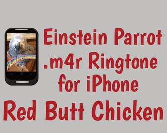 Red Butt Chicken .m4r Ringtone for iPhone