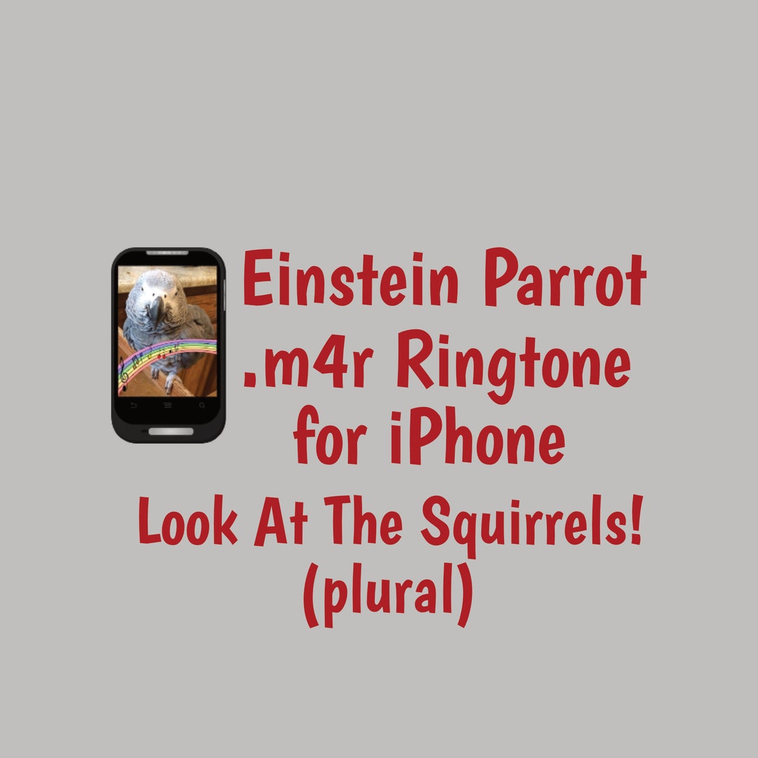 Look at the Squirrels .m4r Ringtone for Iphone Etsy