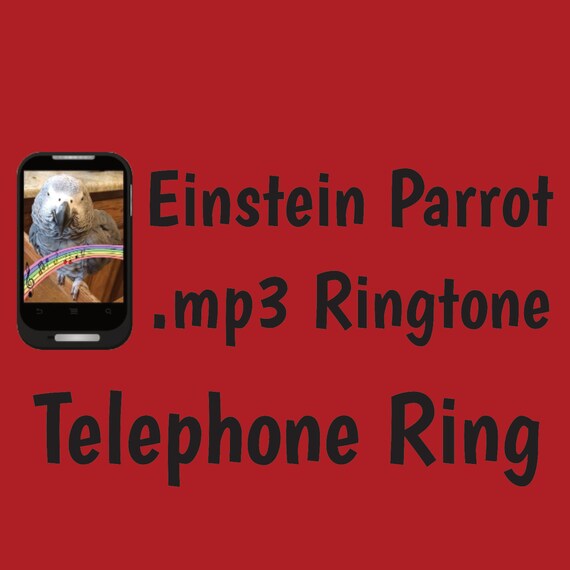 How to change ringtone on an Android phone