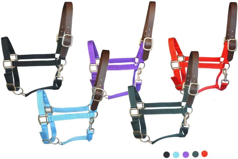 Breakaway Horse Halters Cob Size Halters With Leather Crown Etsy