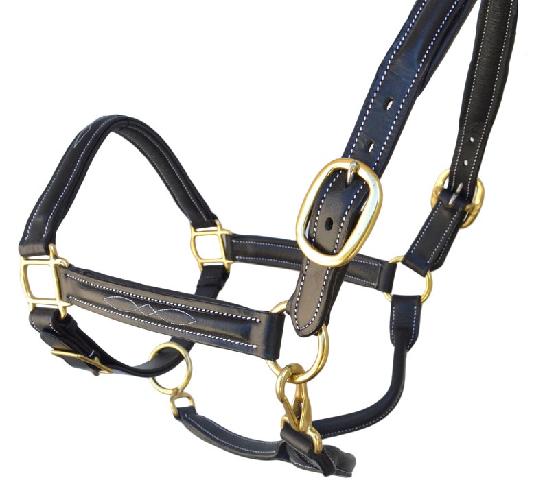 Tack Makers New Rolled Leather Horse Halters Headcollars Double Adjustable Crown Full//Cob Full SIE