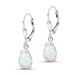 see more listings in the Silver Drop Earrings section