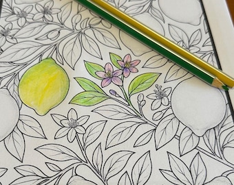 A4 Mindful Mandala Colouring Sheets