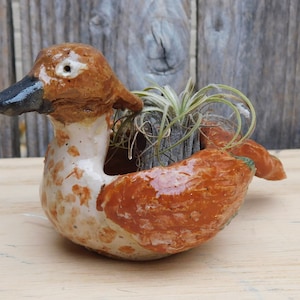 May include: A ceramic duck planter with a brown and white speckled body, a black beak, and a small air plant inside. The handmade planter is a unique decorative item for home or garden, adding a touch of whimsy.