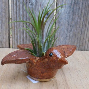 May include: A handcrafted ceramic bird planter in shades of brown, with a glossy finish. The bird-shaped pot holds a green air plant. The wings of the bird extend outward. The planter sits on a wooden surface.