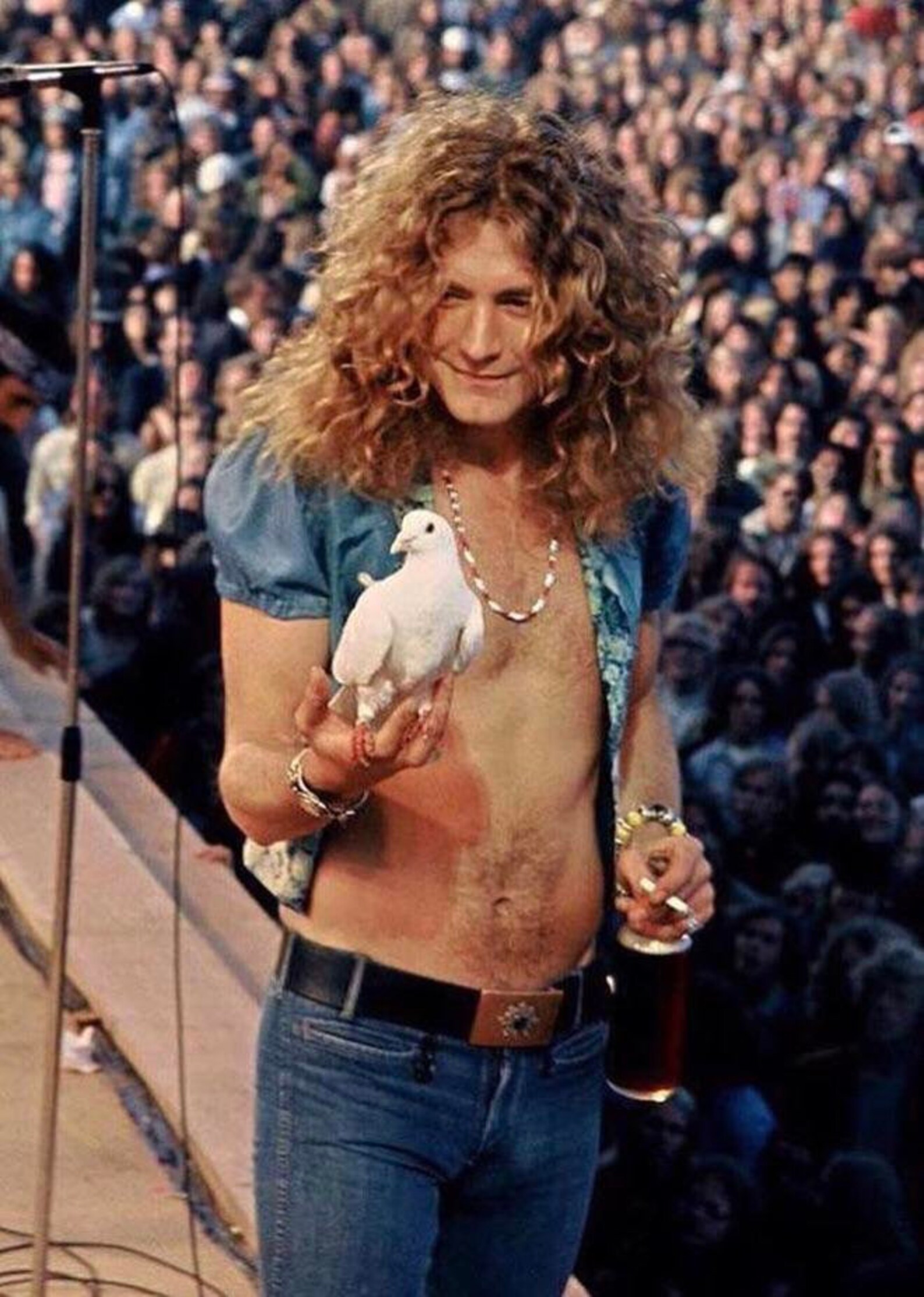 ROBERT PLANT Handmade Seed Bead Necklace 1973 Replica - Etsy