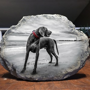 Peut inclure: Image en niveaux de gris d'un chien Weimaraner avec un collier rouge sur une plage, imprimée sur une pierre grise de forme irrégulière. Le fond montre un ciel nuageux et la mer.