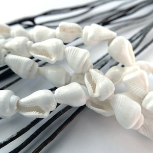 20 Natural creamy white or beige brown pierced shell beads 8/10 mm