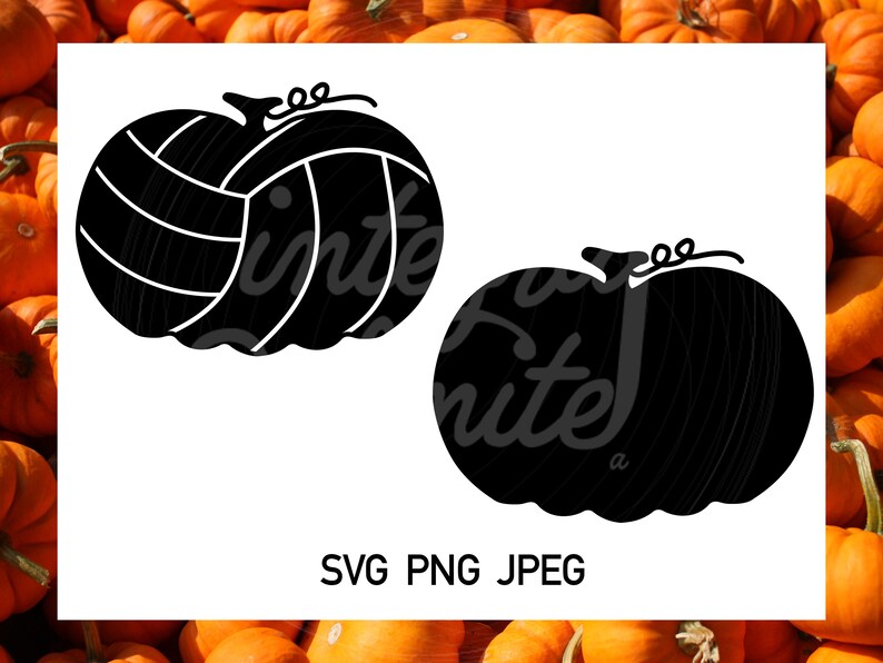 Volleyball Pumpkin SVG Fall Svg Png Jpeg Team Shirt Etsy
