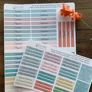 Calcomanías de objetivos y principios para niños y jóvenes (Para la Fortaleza de la Juventud-PFJ) para los garabatos deliberados, Erin Condren y Happy Planner (R021)