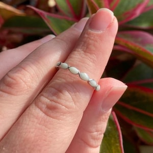 May include: A silver ring with a series of white, oval-shaped stones. The ring is held up against a background of green and red leaves. The ring's design is simple and elegant.