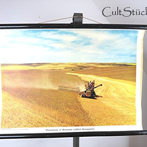Grafico da parete scolastico vintage anni '50 "Wheat Harvest Minnesota" grafico didattico da parete grafico a rotolo decorativo per interni realizzati in Germania (8)