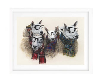 The Cheviot Posse (Art Print) | Cheviot Sheep Print | Cheviot Sheep Art | Scottish Sheep Home Decor Illustration | Scottish Wall Art