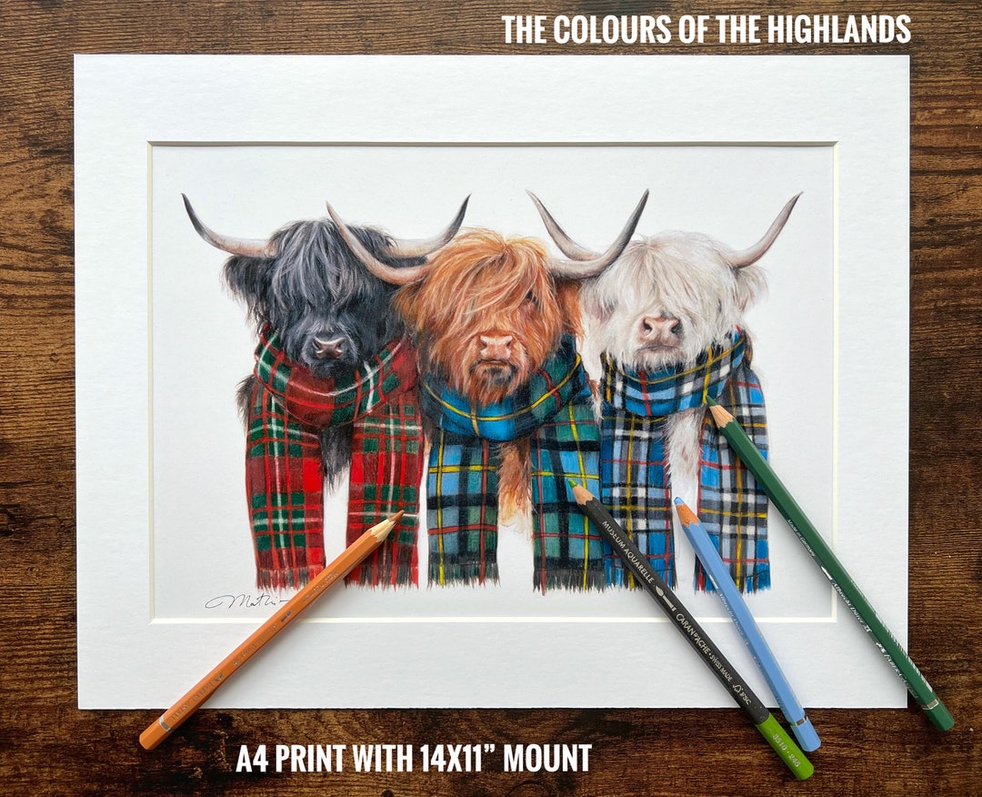 The Colors of the Highlands art Print Highland Cow Print Highland Cow