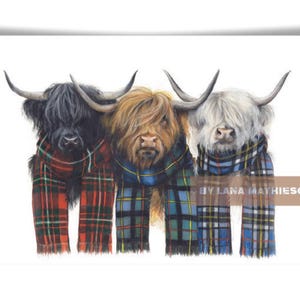 Los colores de las Tierras Altas (impresión artística) | Estampado de vaca de las Tierras Altas | Arte de vacas de las tierras altas | Vaca de las Tierras Altas de Escocia | Arte mural escocés | Arte escocés