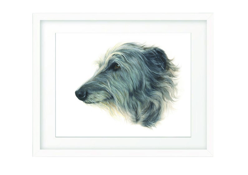 Scottish Deerhound Gicl\u00e9e Print of Original Artwork