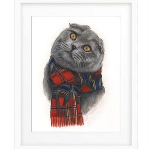 The Maclean Fold (Art Print) | Scottish Fold Cat | Fold Cat Art | Scottish Cat