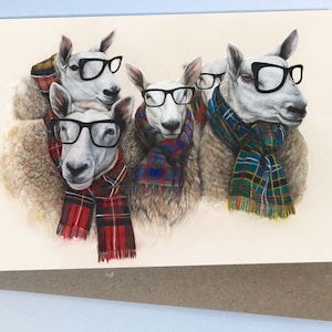 Le | Cheviot Posse (carte de vœux) | de la carte Cheviot Sheep carte de mouton écossais | | de cartes écossaises | de la carte Tartan Sheep Drôle de carte
