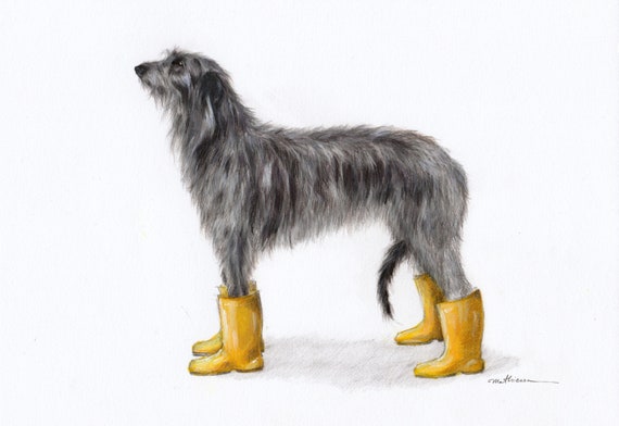 Dog hotsell wellies yellow