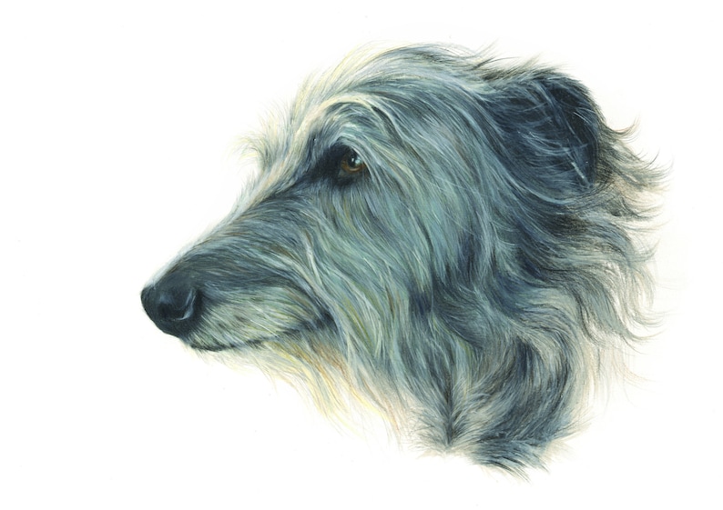 Scottish Deerhound Gicl\u00e9e Print of Original Artwork