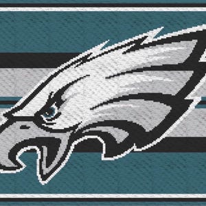 Bitte Inserat sorgfältig durchlesen! Fußball Team C2C Häkeldecke Muster