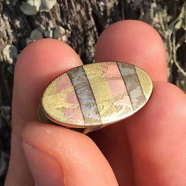 Victorian Gold Filled Mixed Metals Rose, Yellow Gold & Silver Signed R S and Co. Pocket Watch Clip