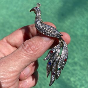 Puede incluir: Broche de pavo real plateado incrustado con pedrería transparente. El pavo real tiene una gema roja en la cabeza y gemas de colores en las plumas de la cola. El broche se sostiene sobre un fondo verde borroso.