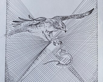 Pelican | Red Tail Hawk | Original Bird Drawings for Home Decor | Bird Drawing Set