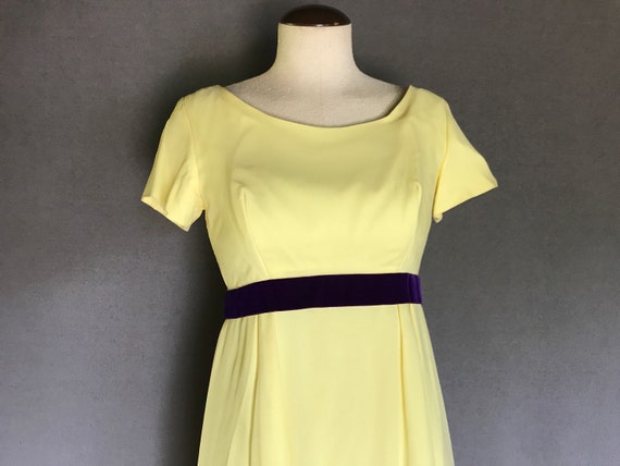 ILGWU 1960s Prom Dress - image 1