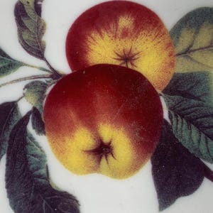 May include: A ceramic surface featuring a detailed illustration of two round apples with deep red and yellow skin tones. The fruit is attached to a brown stem with several dark green leaves that have visible veins and textured edges on a white background.