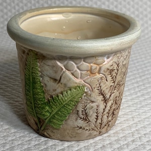 May include: A small, beige ceramic planter with a textured surface and a light green rim. The planter features a detailed fern leaf design in green and brown, adding a natural touch. The interior is a light beige color.