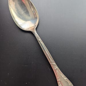 May include: A silver spoon with an ornate design featuring grapes and leaves. The spoon has a polished finish and a rounded bowl.