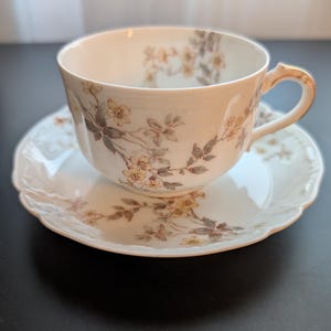 Antique Floral Tea Cup & Saucer--Haviland Limoges--1888-1896