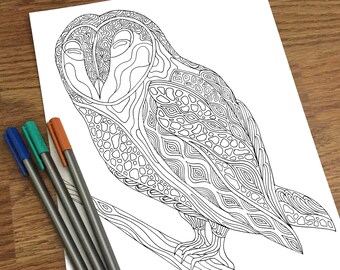 5300 Top Zentangle Bird Coloring Pages Download Free Images