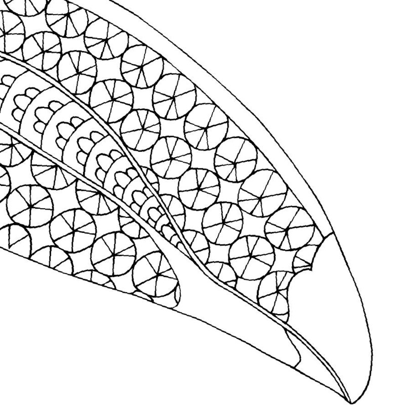Download Toucan PDF Zentangle Coloring Page Bird Therapy Coloring ...