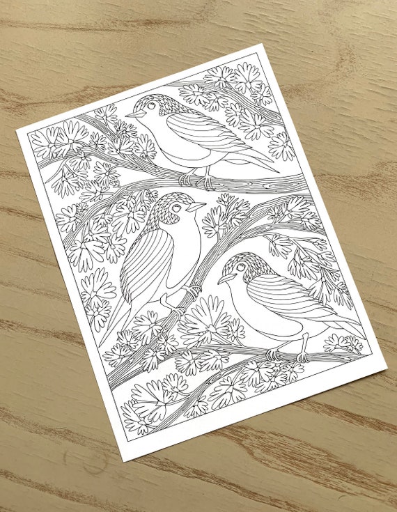 Spring Bird Coloring Page  PDF Zentangle Coloring Page