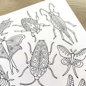 Insect Coloring Page PDF Zentangle Bugs Therapy Coloring | Etsy