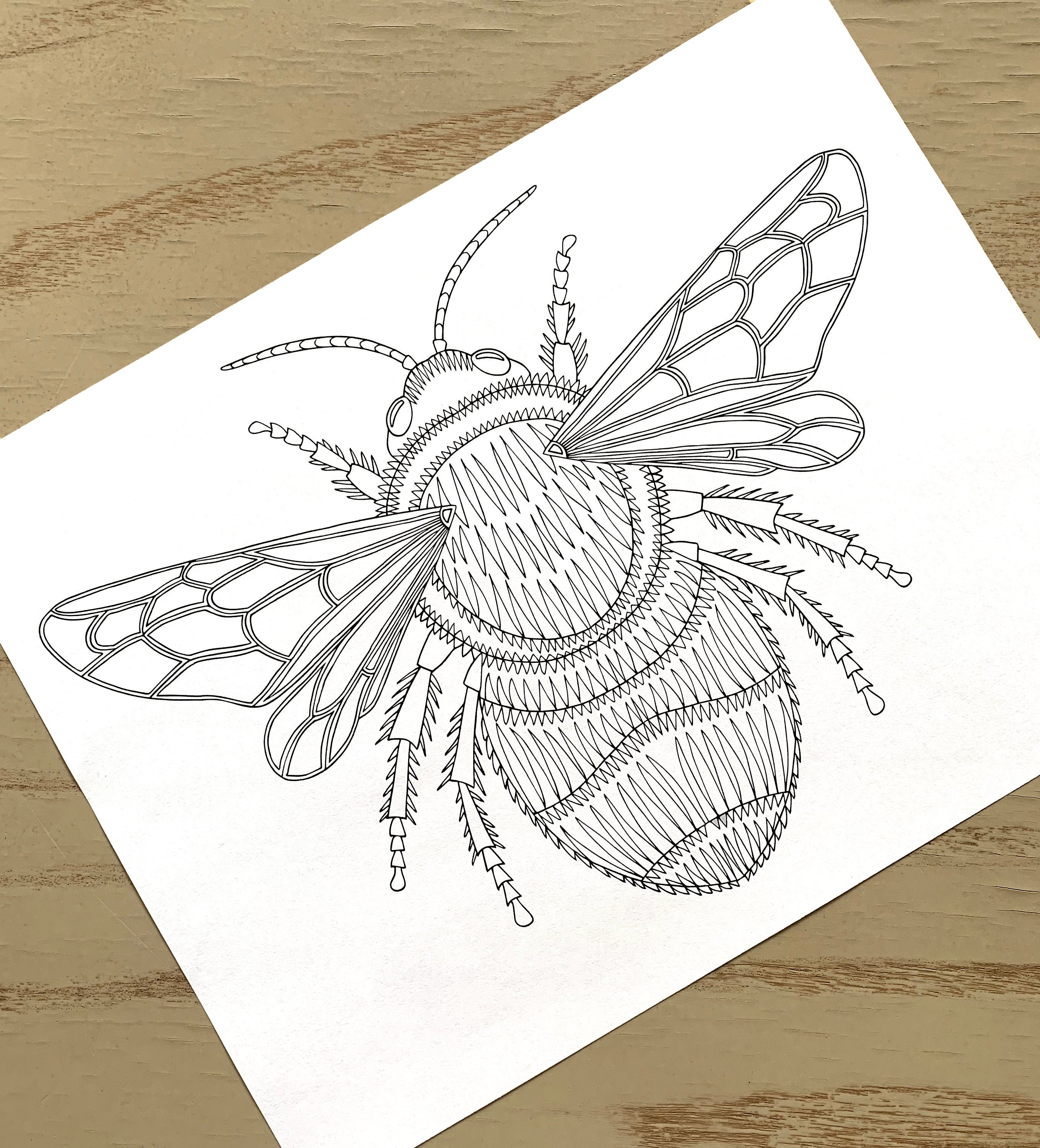 Bumblebee Coloring Page- PDF Bee Zentangle Coloring Page - Insect Coloring - Digital Download - Printable Adult Coloring Page
