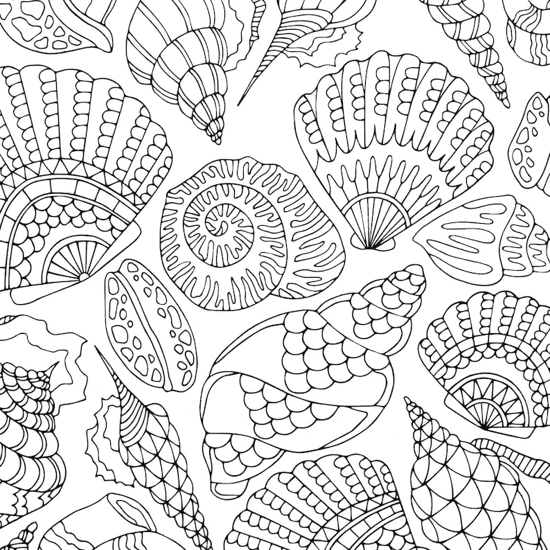 Download Seashells PDF Zentangle Coloring Page Beach Coloring | Etsy