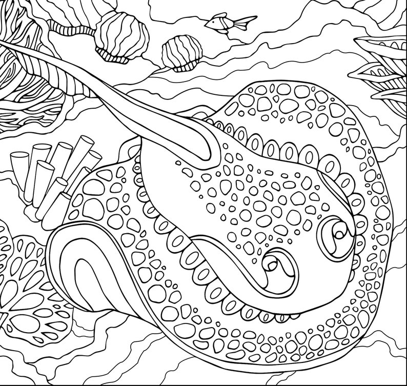 Stingray Coral Reef PDF Zentangle Coloring Page Fish Etsy