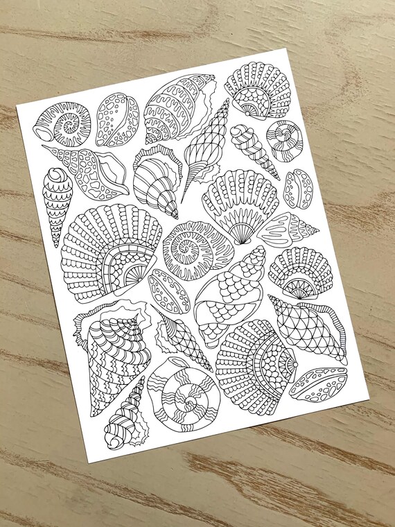 Seashells Coloring Page  PDF Zentangle Coloring Page  Beach