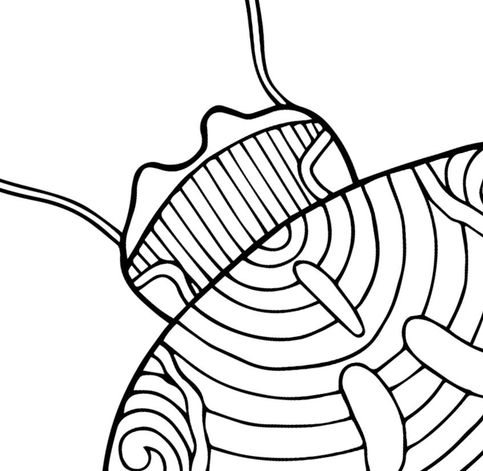 Download Ladybug Coloring Page PDF Zentangle Insect Coloring Page ...