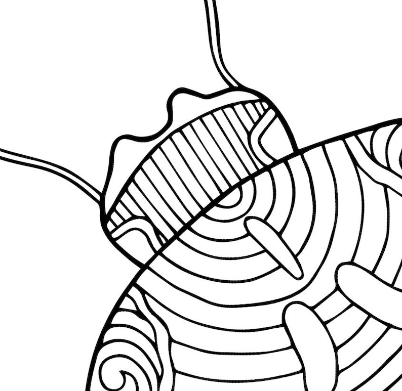 Download Ladybug PDF Zentangle Coloring Page Therapy Coloring | Etsy