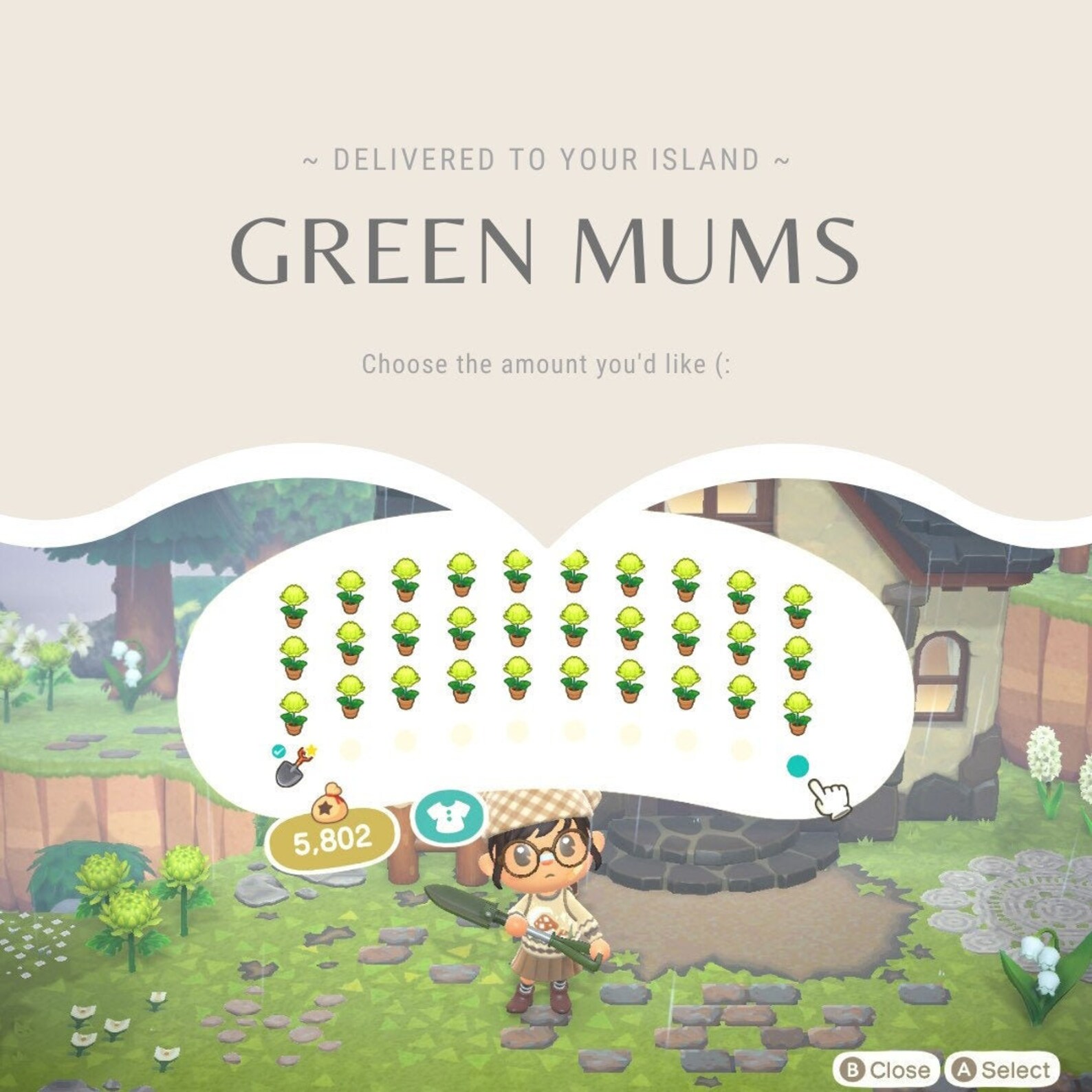 ACNH Green Mum Flower Delivery Animal Crossing Etsy