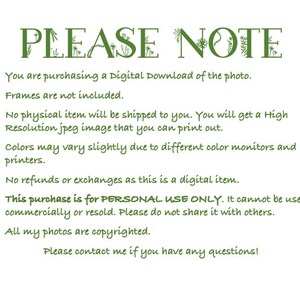 May include: A digital download notice with green text and floral accents. The text reads "PLEASE NOTE" and includes information about the purchase of a digital photo, including details about copyright, personal use only, and no refunds or exchanges.