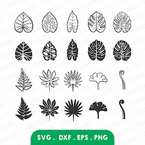 May include: A set of 20 black and white silhouette images of various tropical leaves and ferns. The images are perfect for crafting, scrapbooking, or digital design projects.