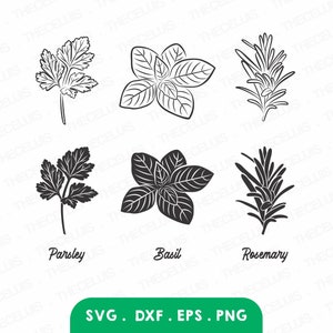 Parsley Basil Rosemary SVG: Herb Plant Digital Files (Instant Download)